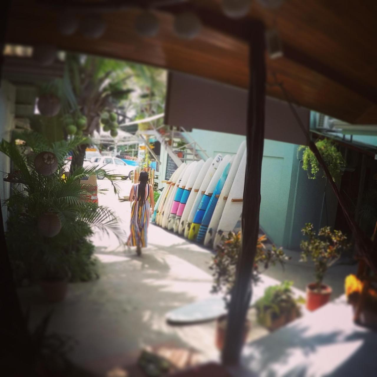 Cocobolo Surf Hotel & School Playa Santa Teresa  Exteriör bild